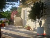 In front of the house